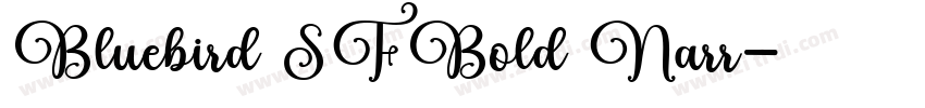Bluebird SFBold Narr字体转换